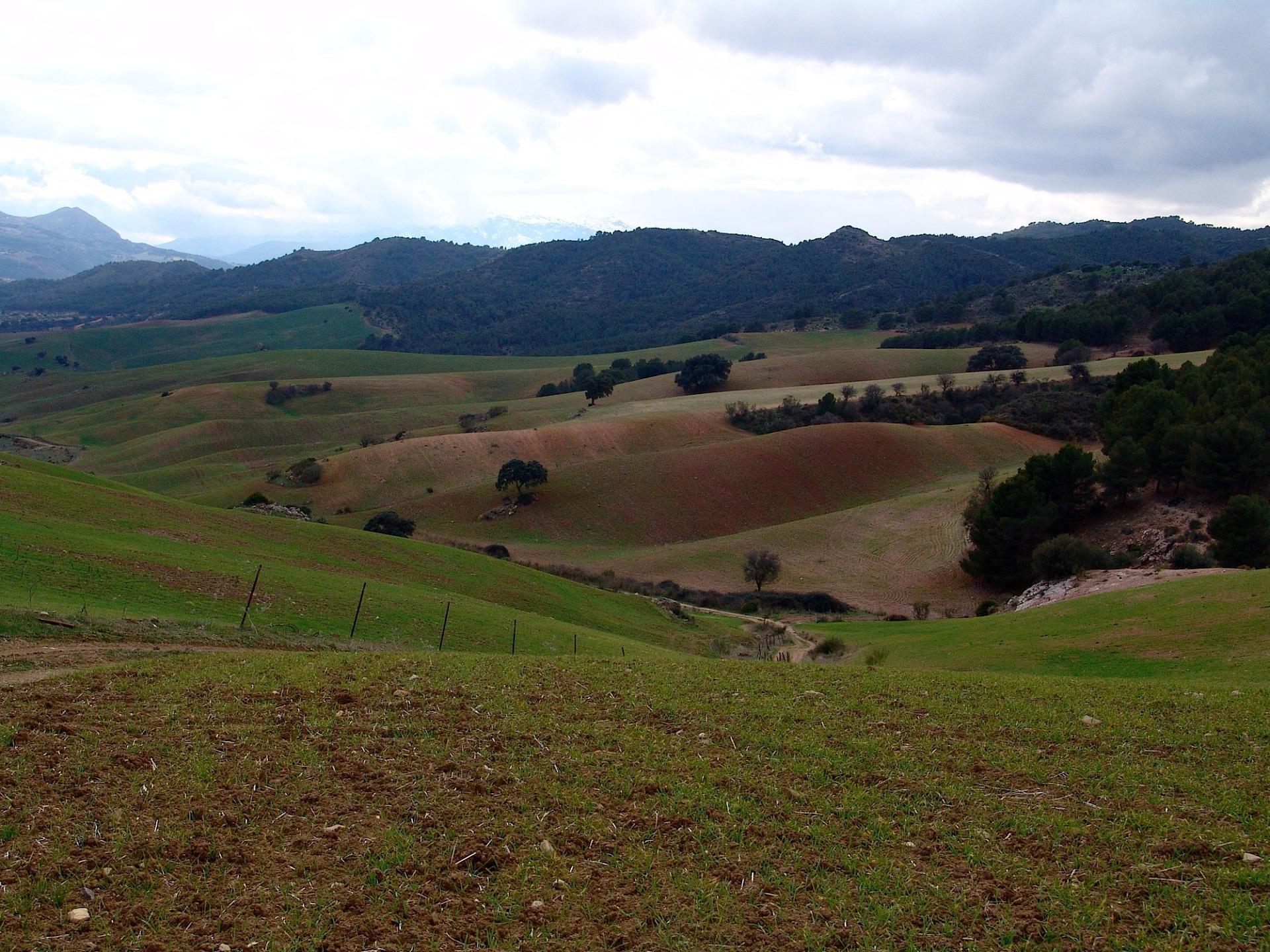 Fincas y solares-Venta-Ardales-2420774-Foto-22