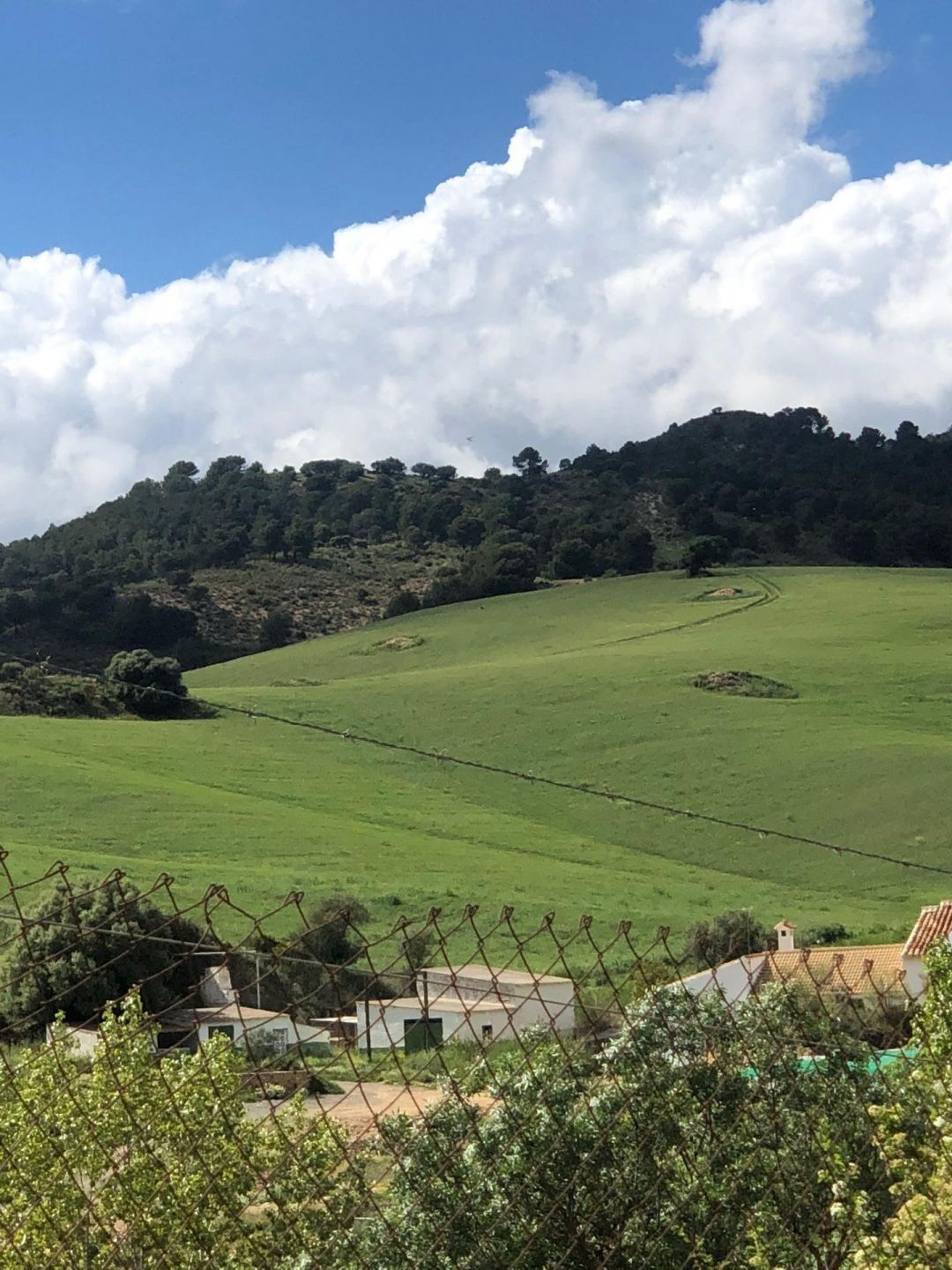 Fincas y solares-Venta-Ardales-2420774-Foto-18