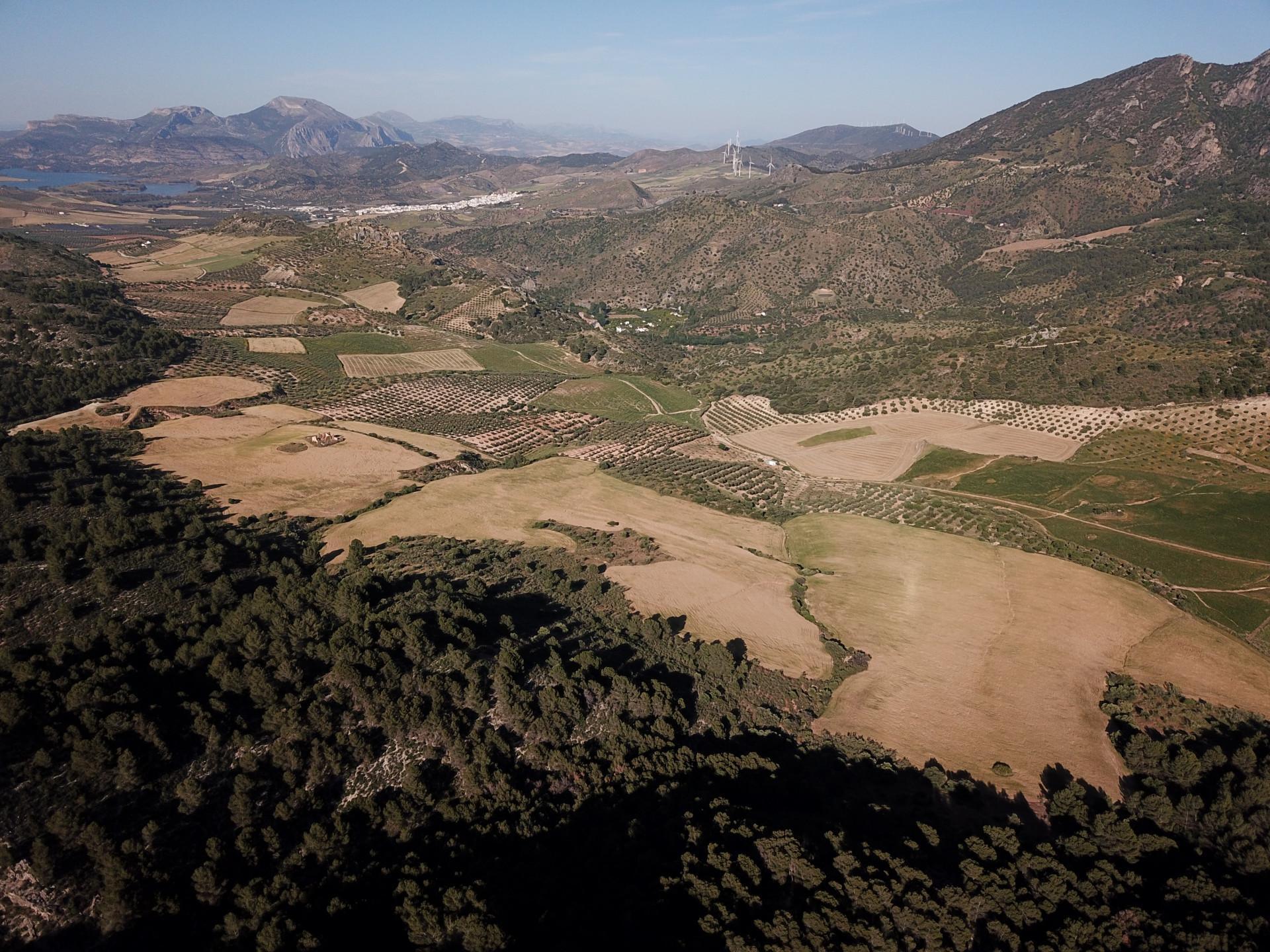 Fincas y solares-Venta-Ardales-2420774-Foto-35