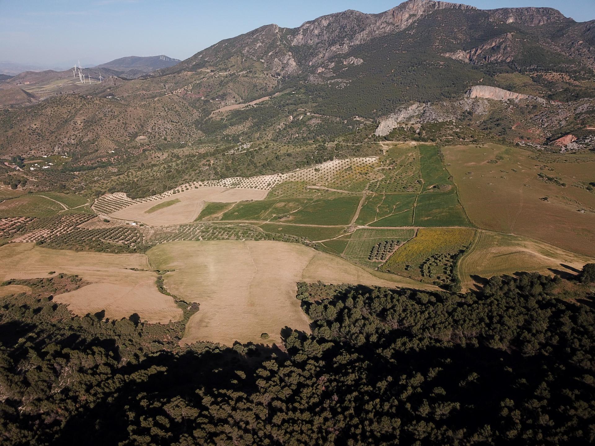 Fincas y solares-Venta-Ardales-2420774-Foto-36