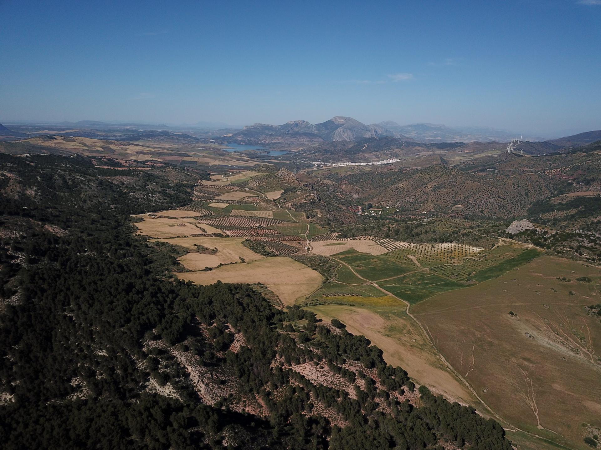Fincas y solares-Venta-Ardales-2420774-Foto-54