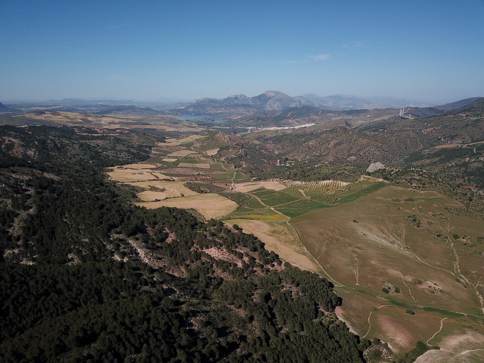 Fincas y solares-Venta-Ardales-2420774-Foto-53