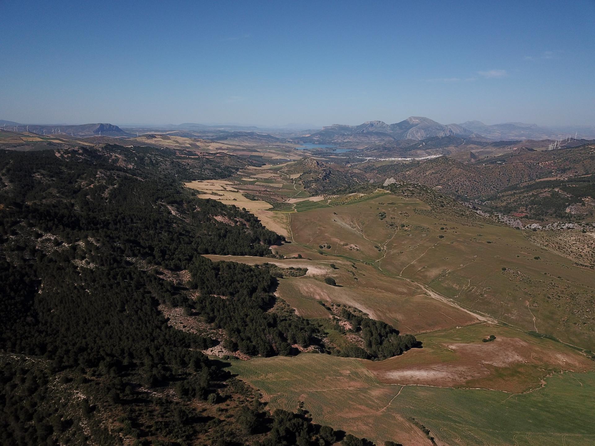 Fincas y solares-Venta-Ardales-2420774-Foto-50
