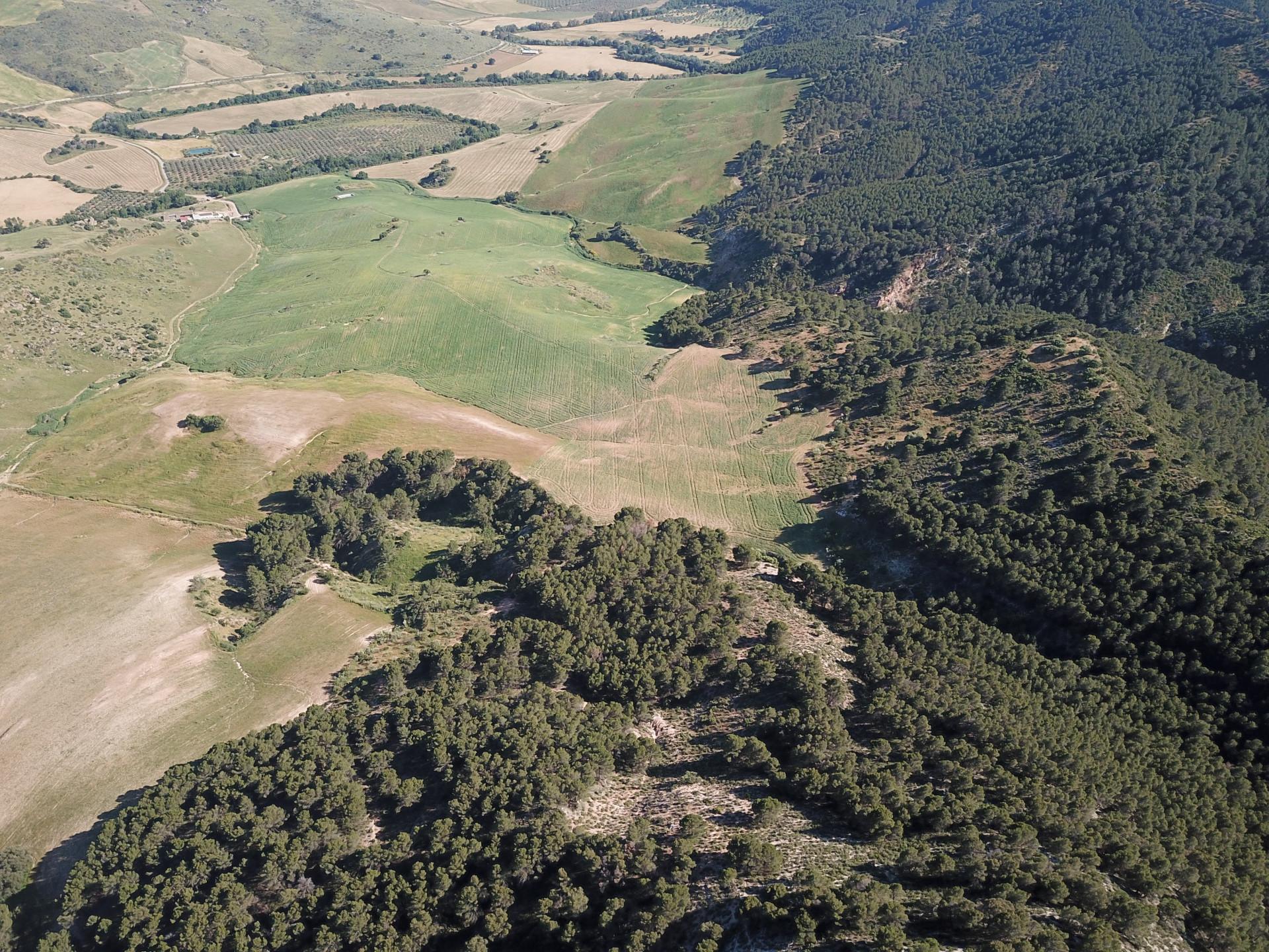 Fincas y solares-Venta-Ardales-2420774-Foto-60