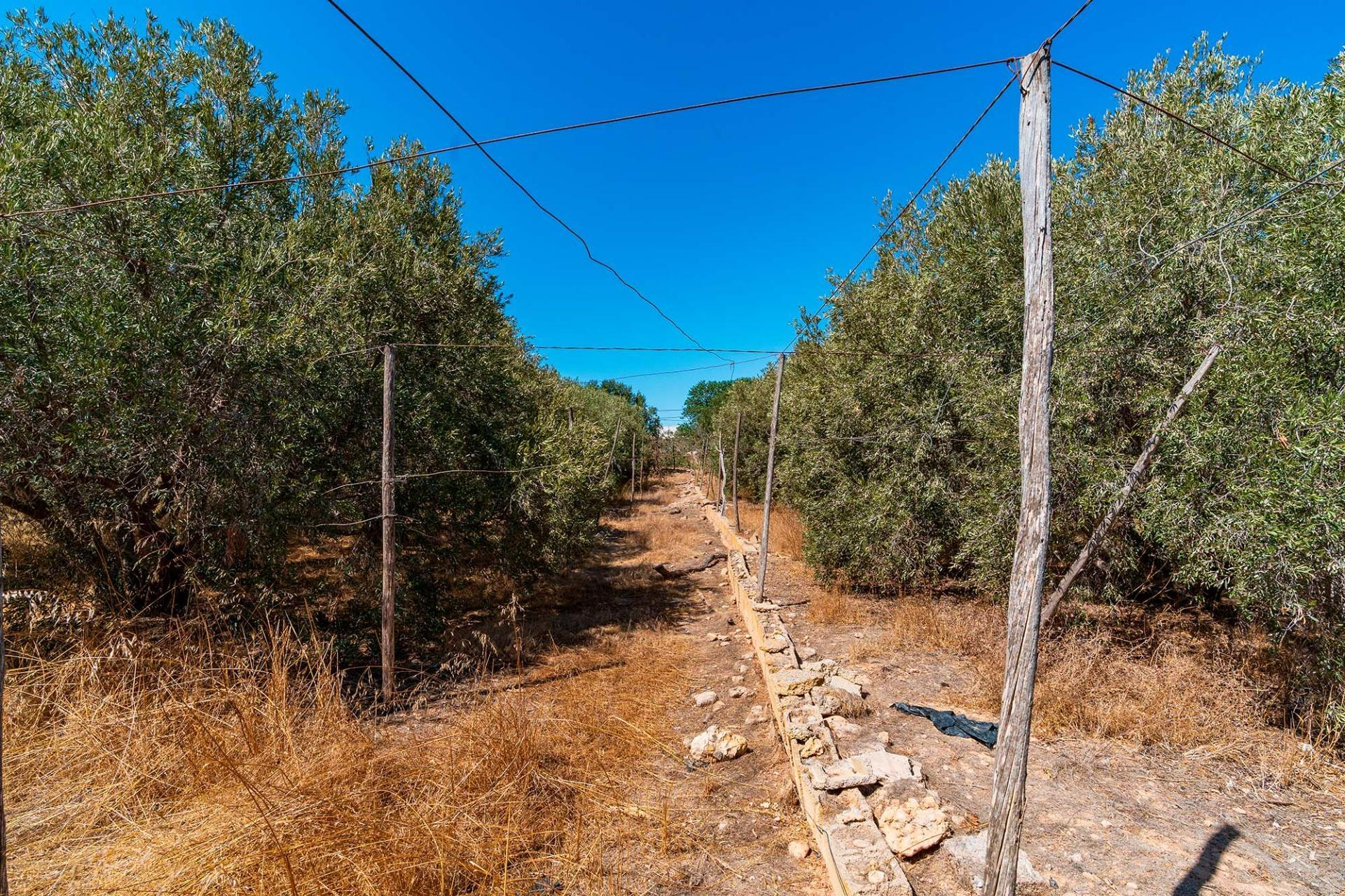 Suelo en venta, El Ejido, AlmerÃ­a, AlmerÃ­a