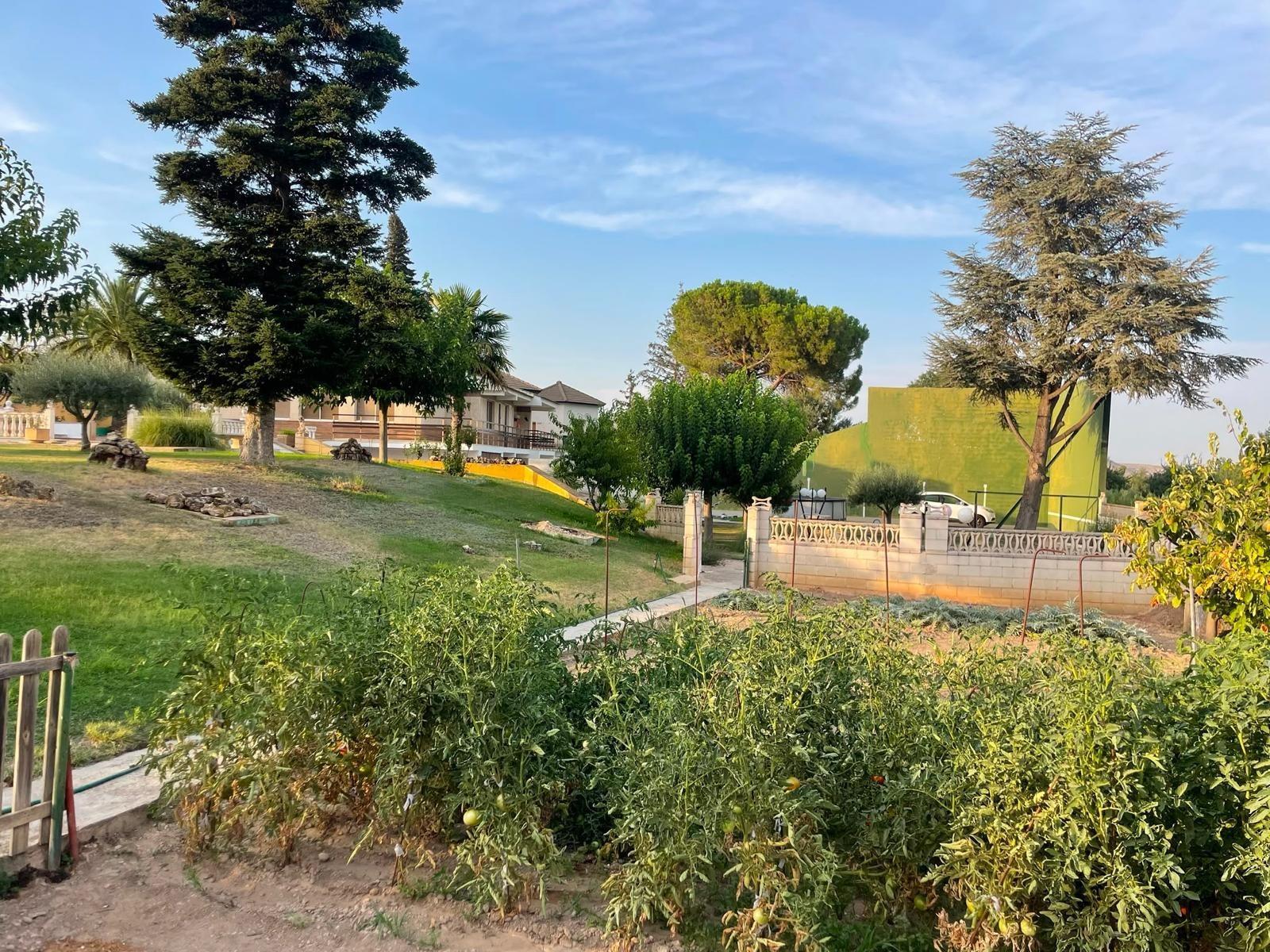 Casas o chalets-Venta-Bulbuente-2416280-Foto-8