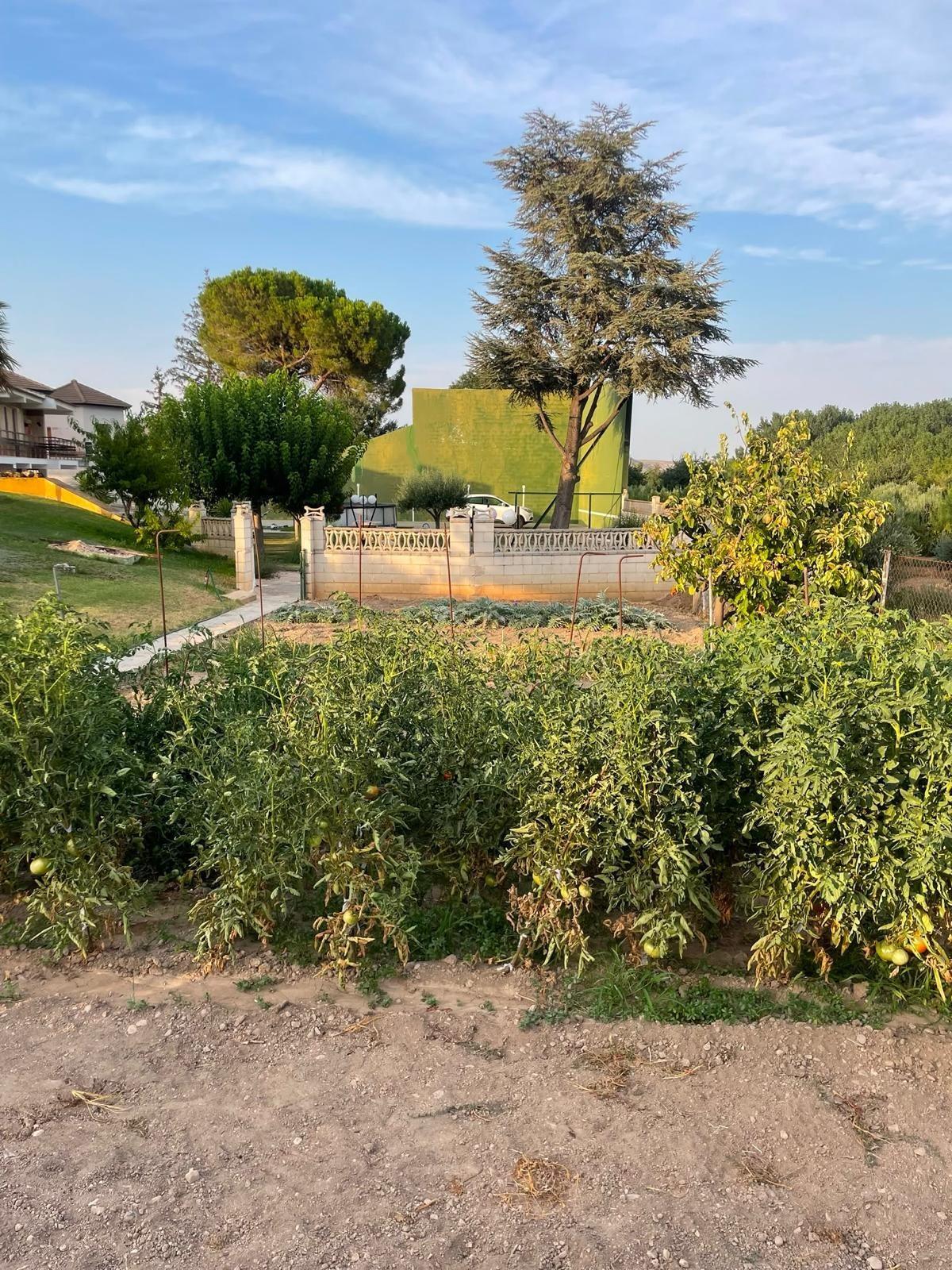 Casas o chalets-Venta-Bulbuente-2416280-Foto-11