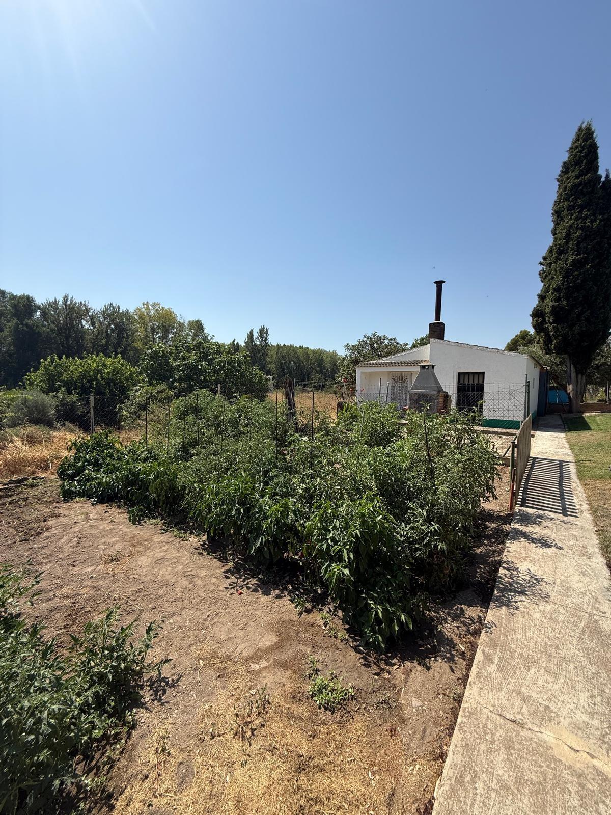 Casas o chalets-Venta-Bulbuente-2416280-Foto-30