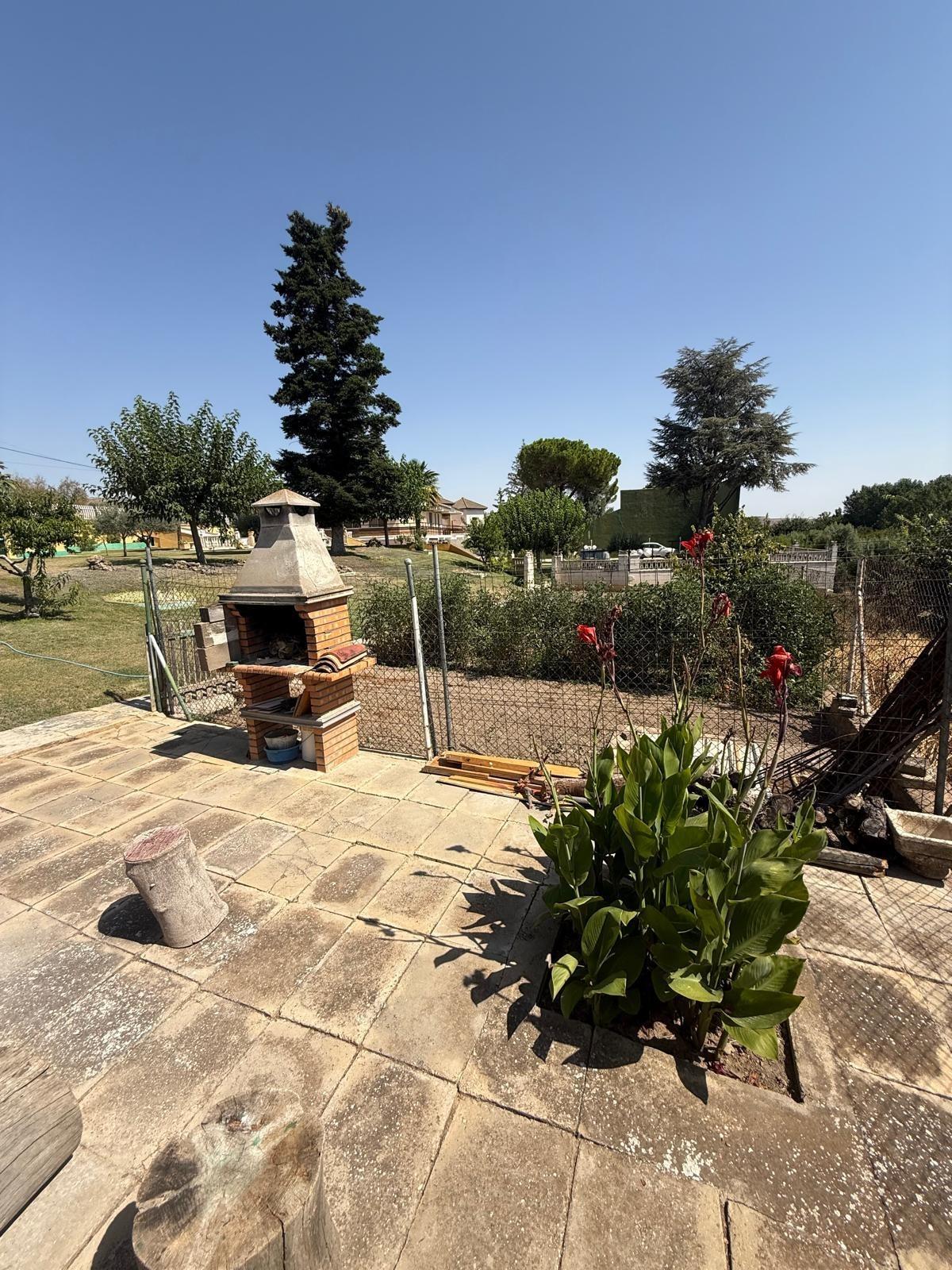 Casas o chalets-Venta-Bulbuente-2416280-Foto-31