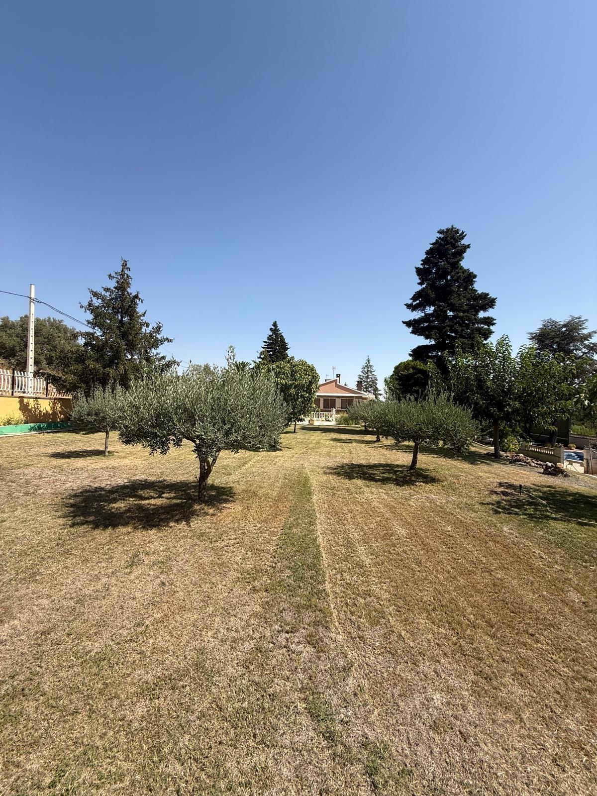 Casas o chalets-Venta-Bulbuente-2416280-Foto-33
