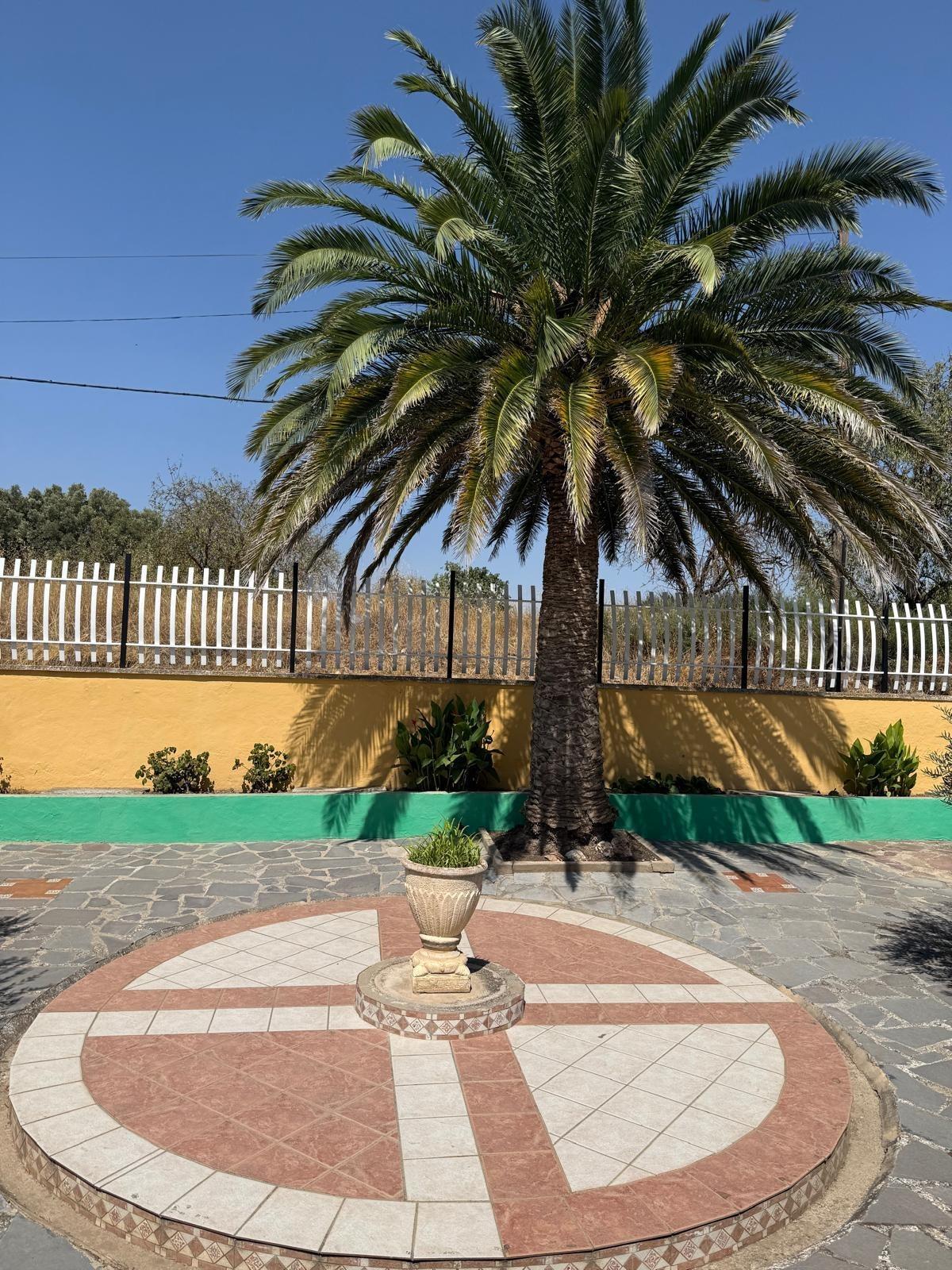 Casas o chalets-Venta-Bulbuente-2416280-Foto-39