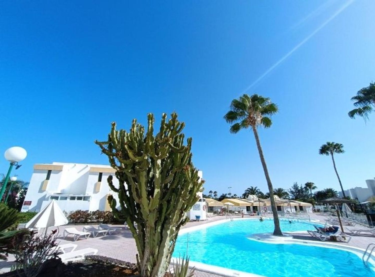Casas o chalets-Alquiler-San BartolomÃ© de Tirajana-2414465-Foto-17