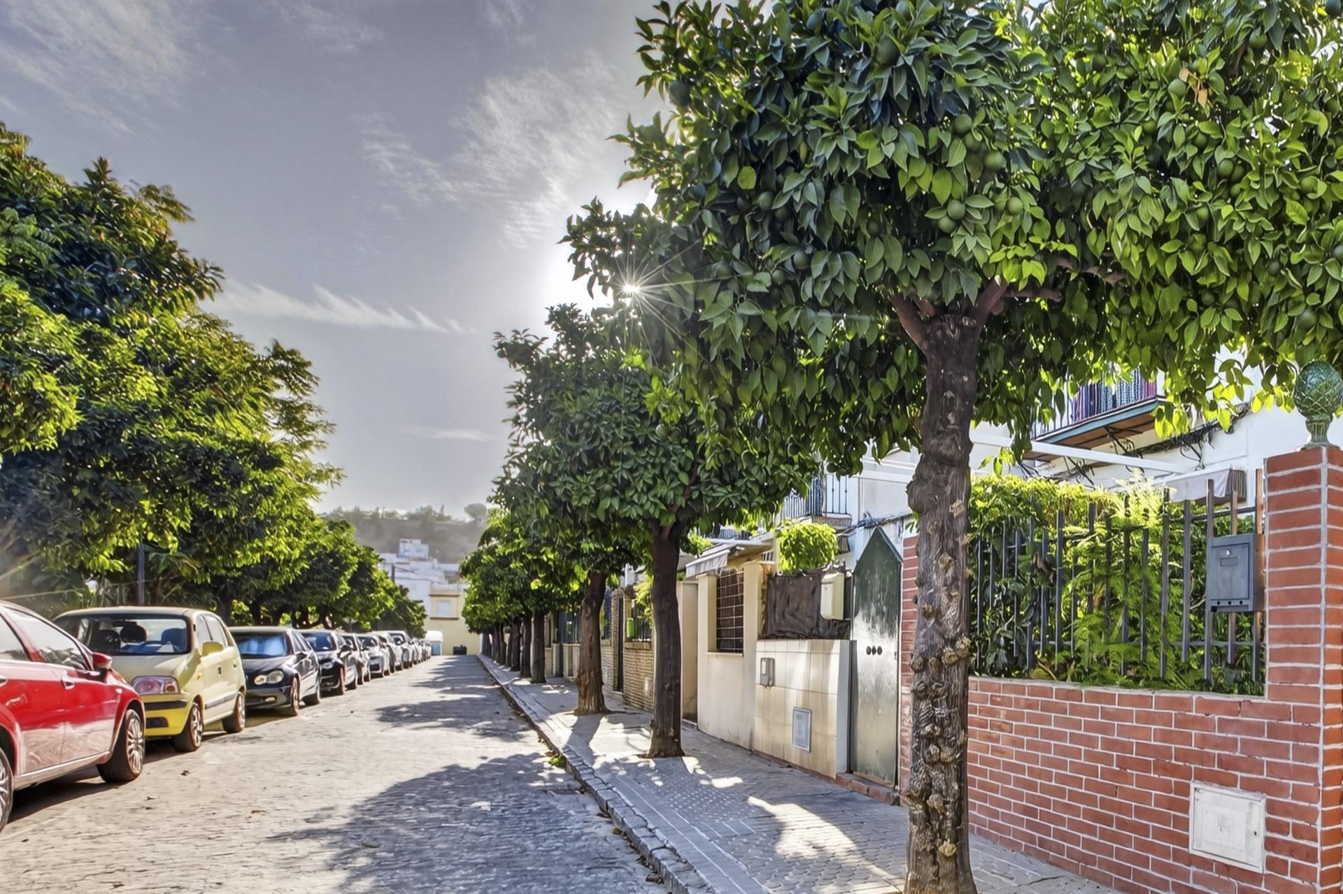 Casas o chalets-Venta-Gelves-2415086-Foto-51