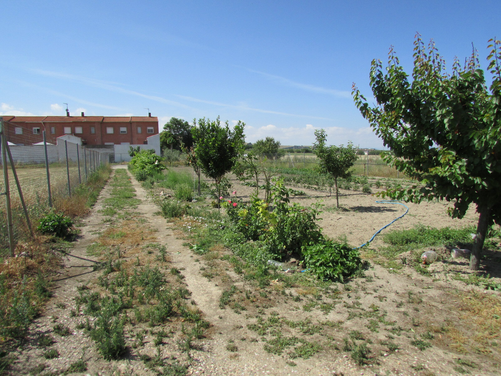 Pisos-Venta-Las Herencias-2414504-Foto-16