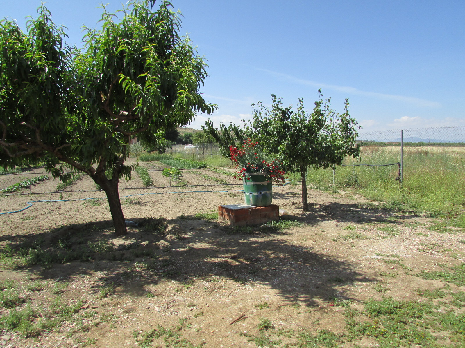 Pisos-Venta-Las Herencias-2414504-Foto-14