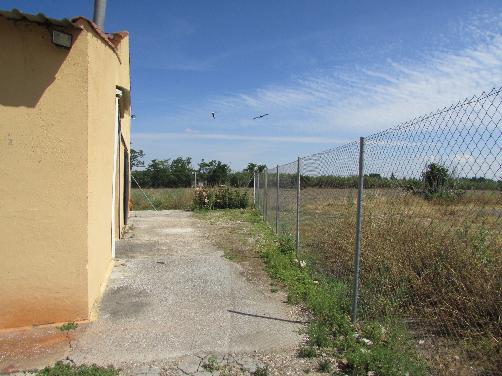 Pisos-Venta-Las Herencias-2414504-Foto-12