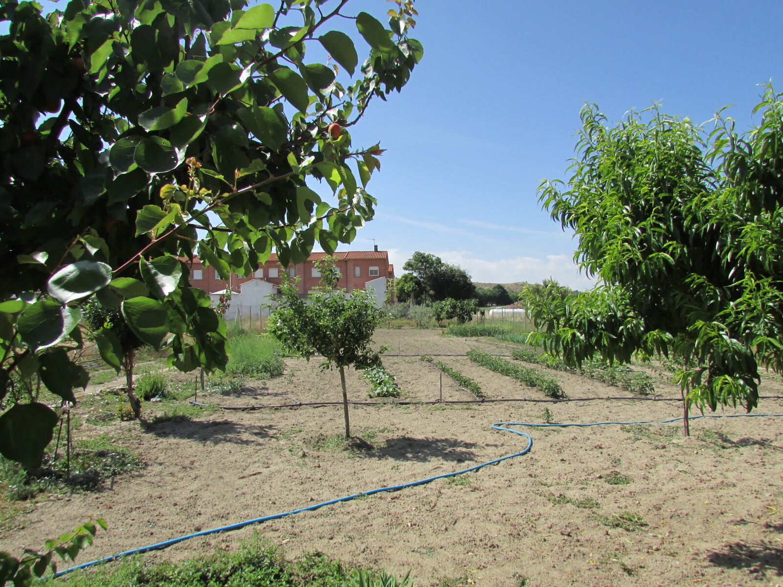 Pisos-Venta-Las Herencias-2414504-Foto-15