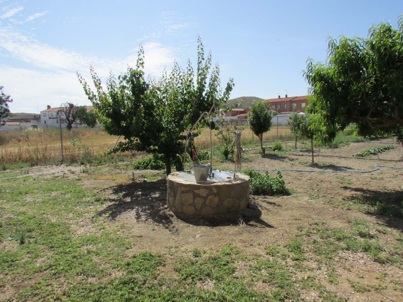 Pisos-Venta-Las Herencias-2414504-Foto-13