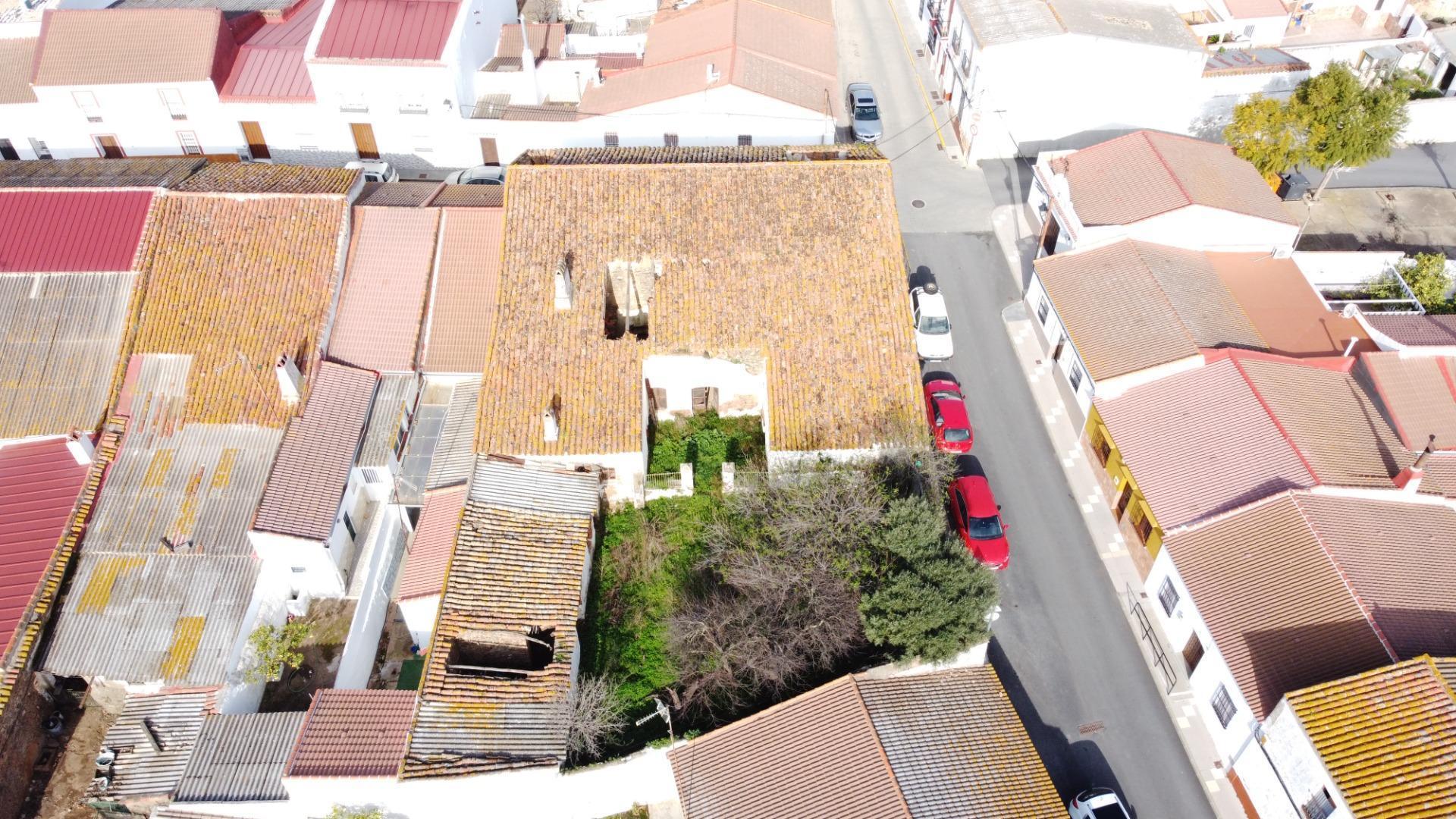 Pisos-Venta-Alosno-1031210-Foto-9