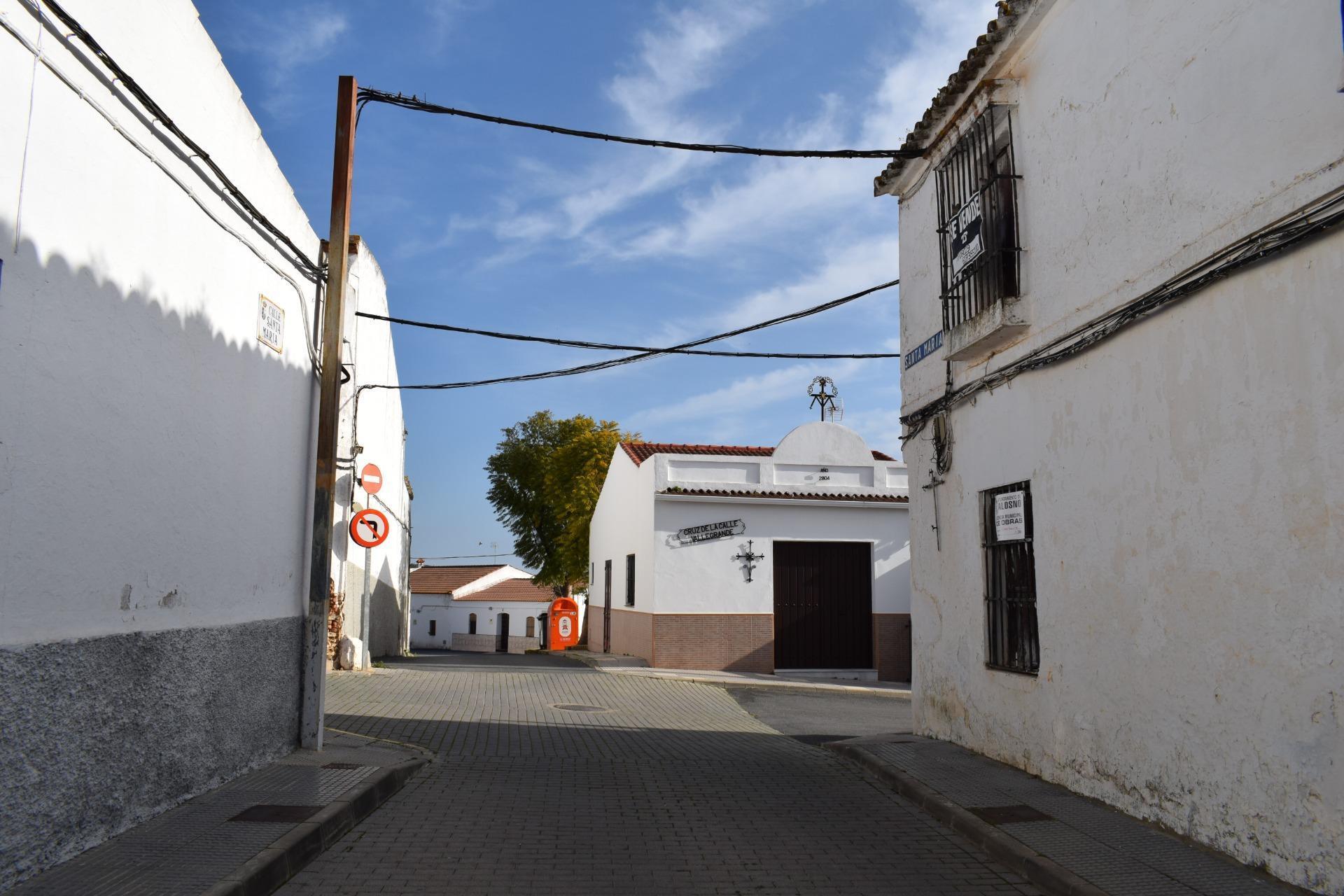 Pisos-Venta-Alosno-1031210-Foto-18