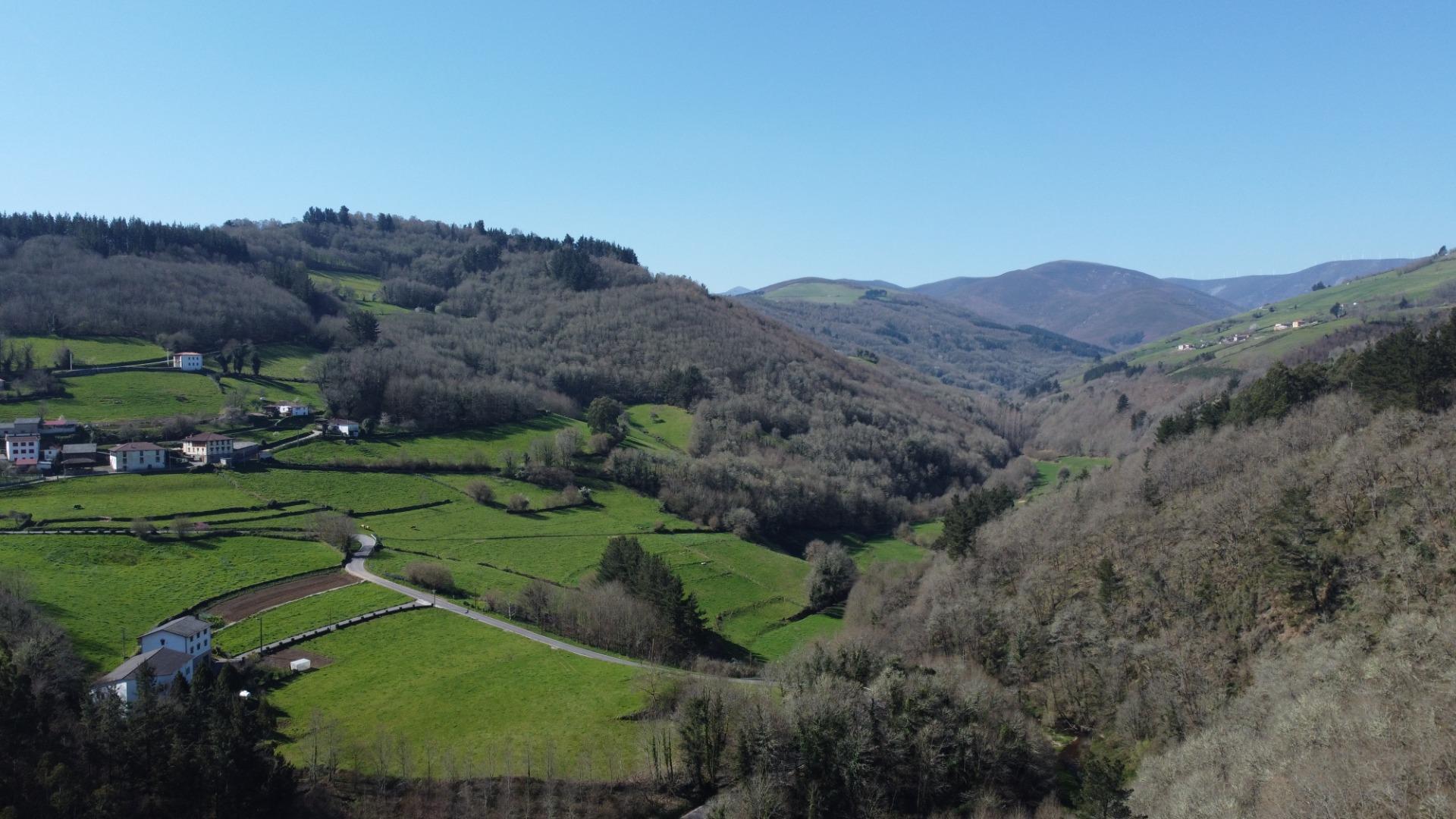 Casas o chalets-Venta-Allande-2414540-Foto-65