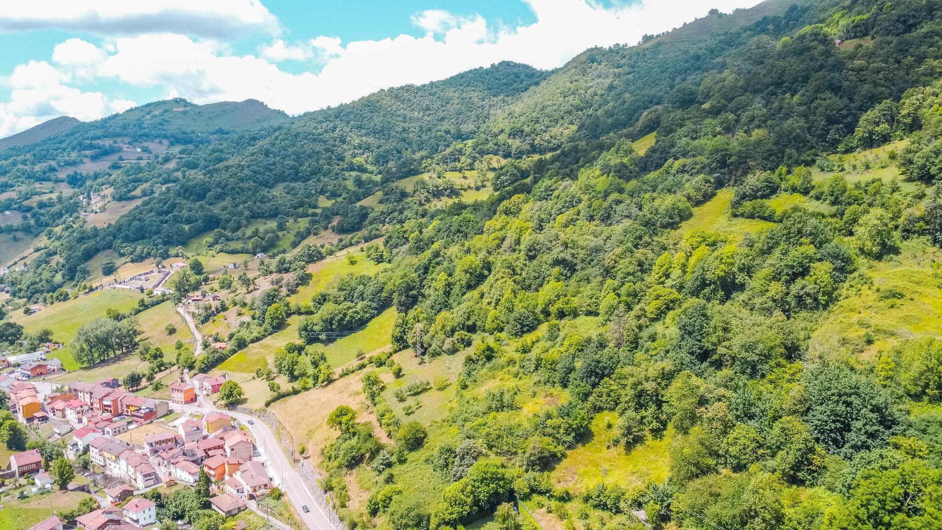 Casas o chalets-Venta-Aller-2414588-Foto-36