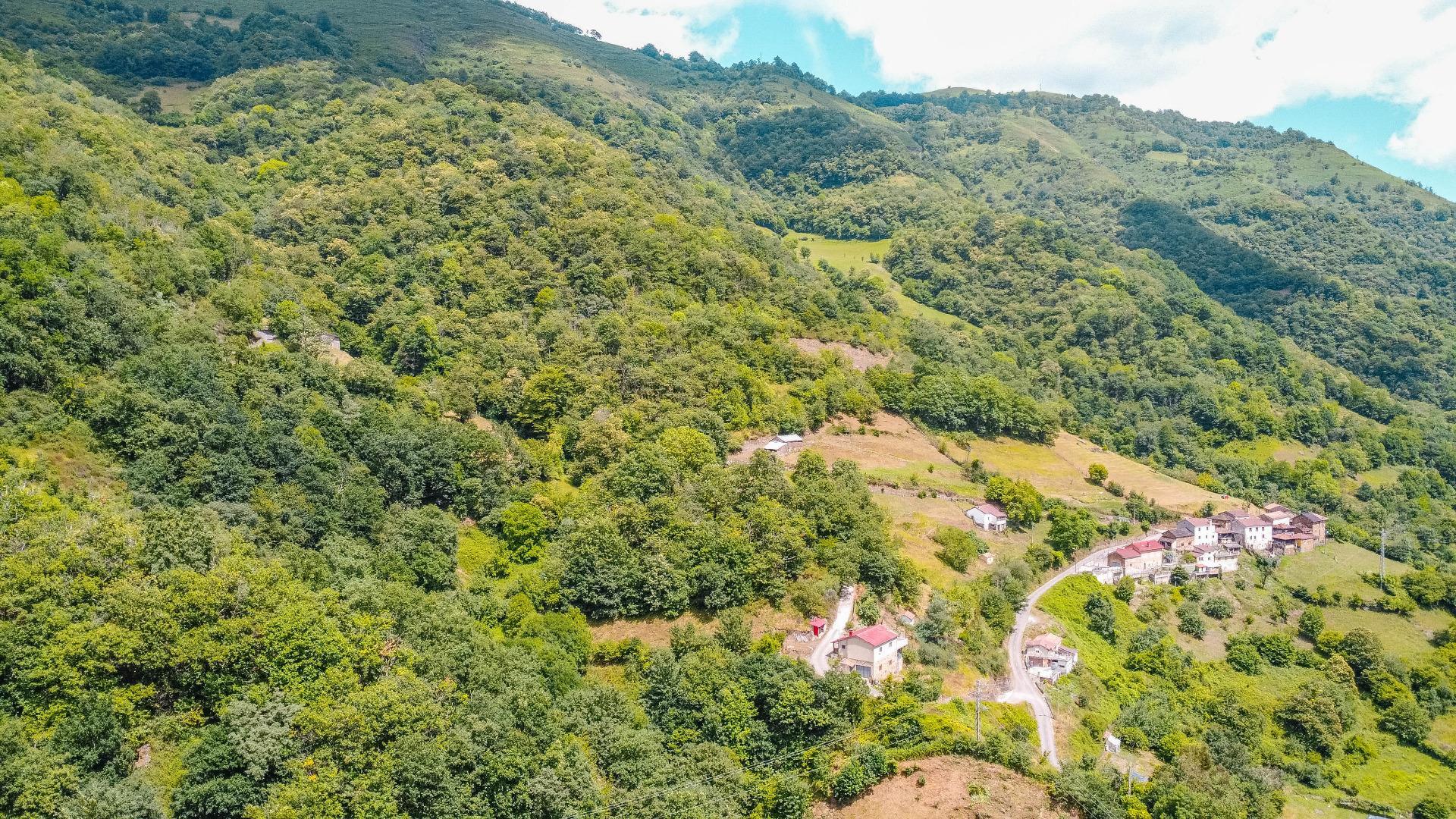 Casas o chalets-Venta-Aller-2414588-Foto-35