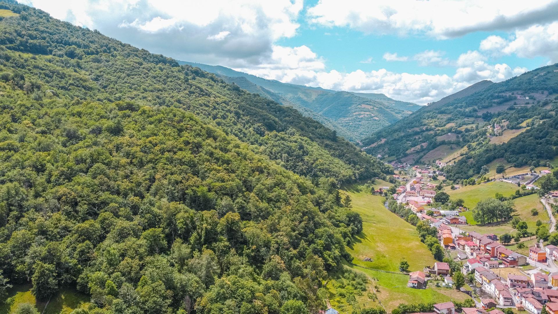 Casas o chalets-Venta-Aller-2414588-Foto-38