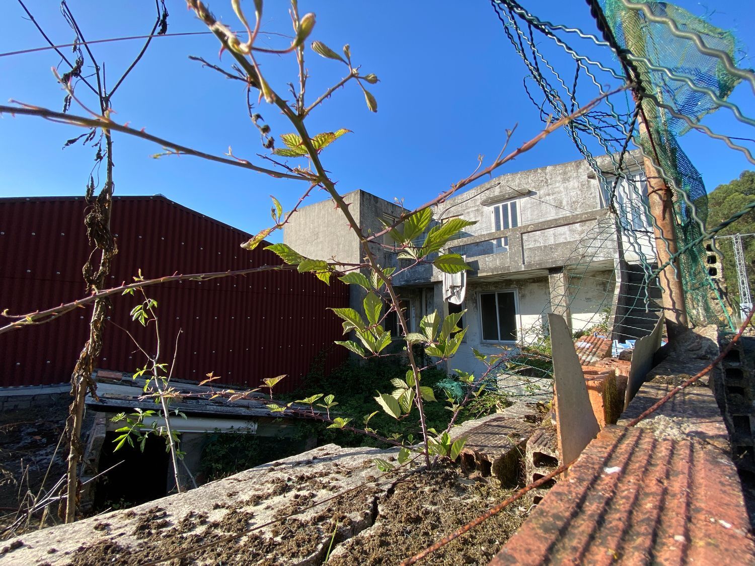 Casas o chalets-Venta-A Guarda-2414705-Foto-31