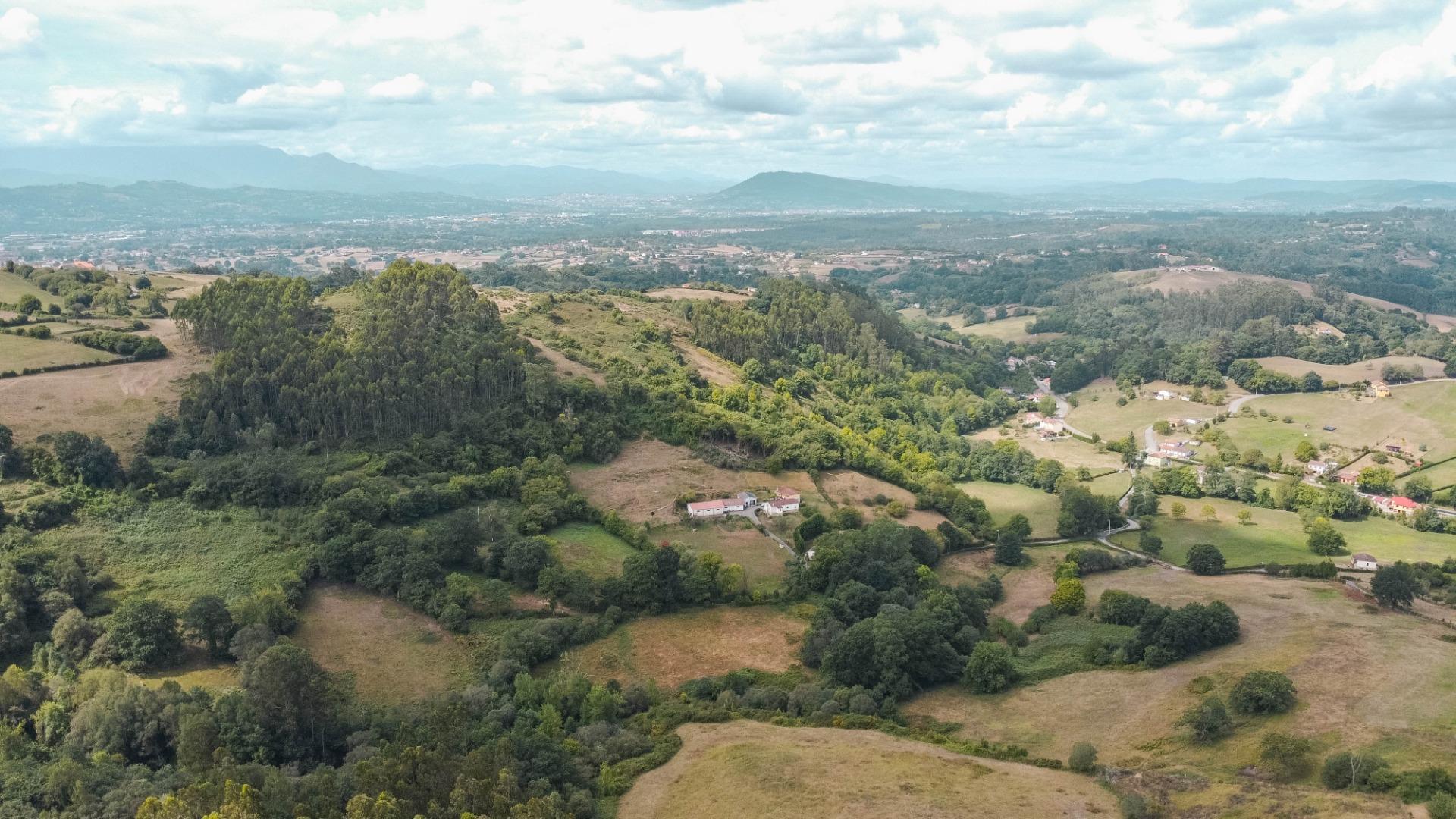 Casas o chalets-Venta-Siero-2414762-Foto-64