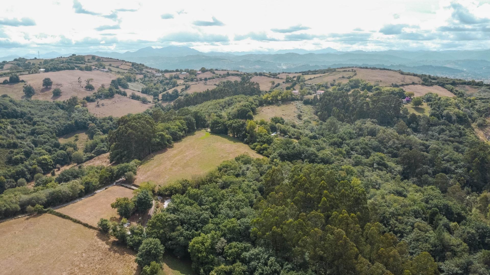 Casas o chalets-Venta-Siero-2414762-Foto-60