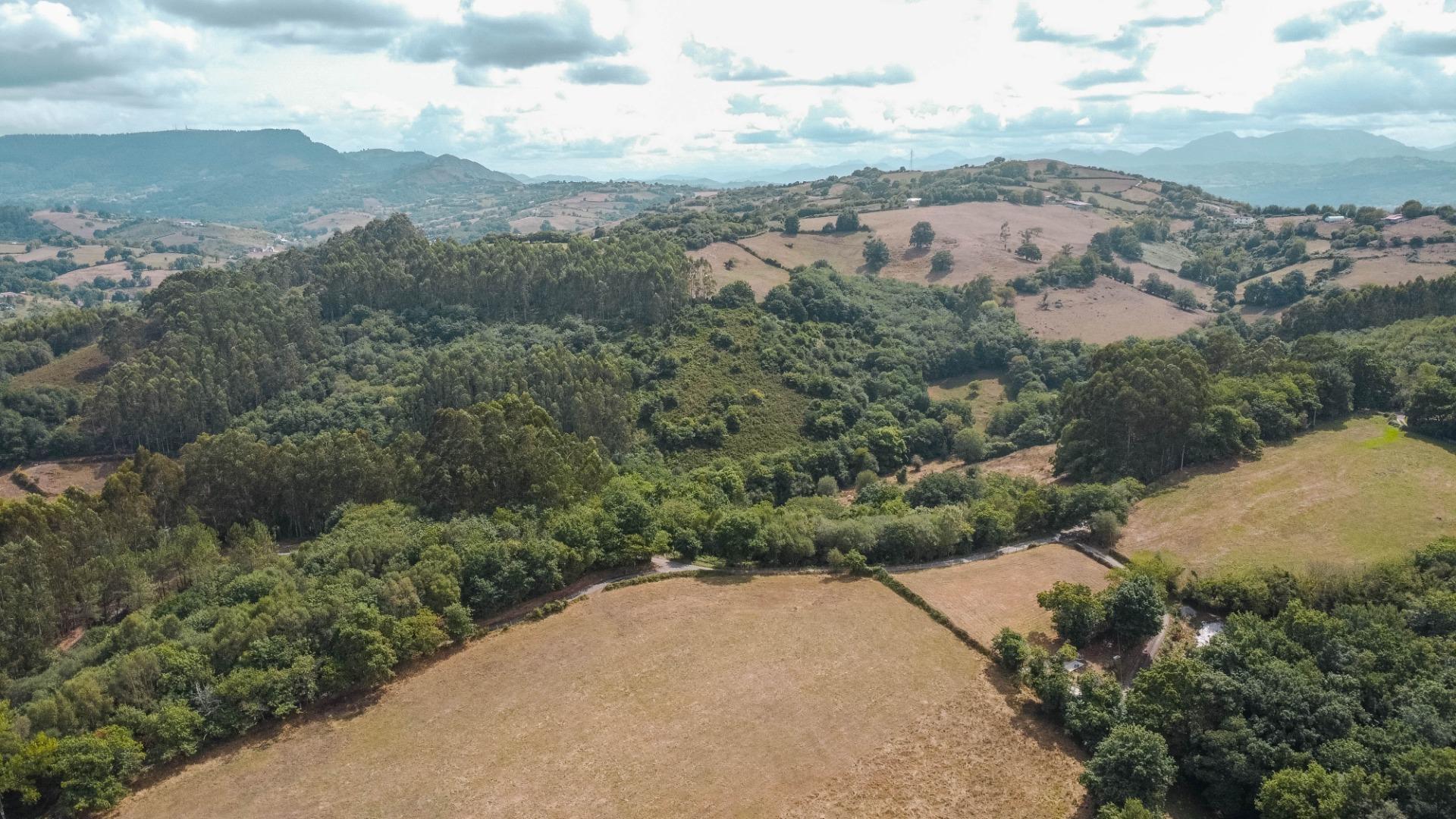 Casas o chalets-Venta-Siero-2414762-Foto-63