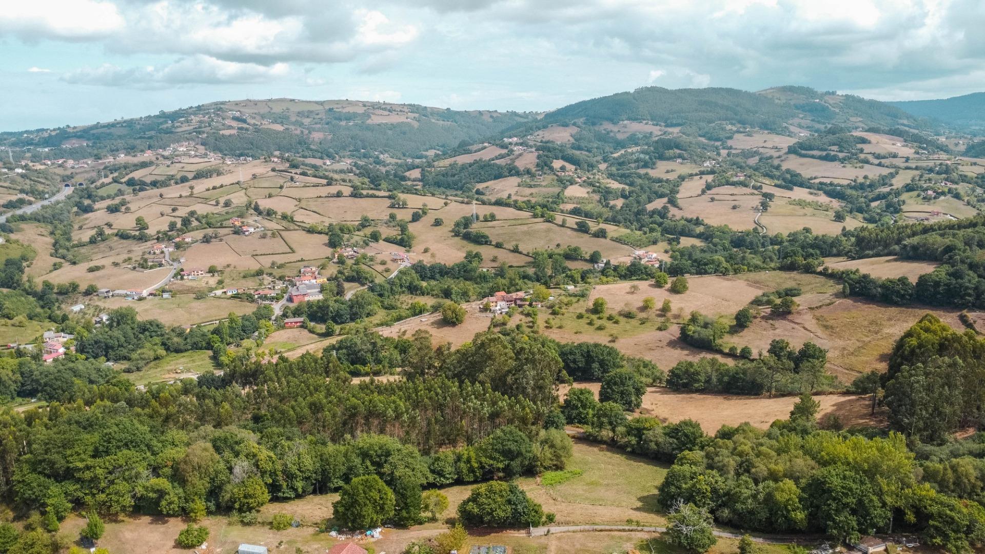 Casas o chalets-Venta-Siero-2414762-Foto-67