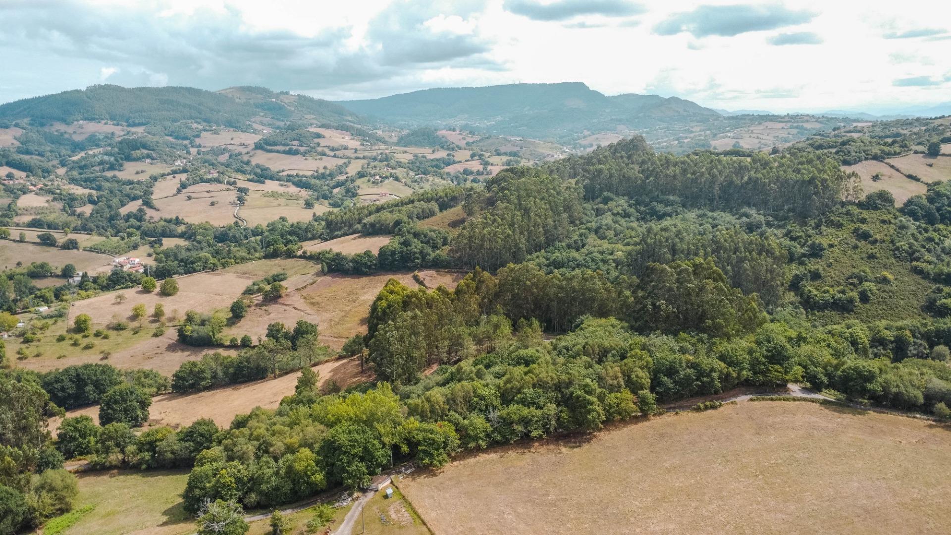 Casas o chalets-Venta-Siero-2414762-Foto-68