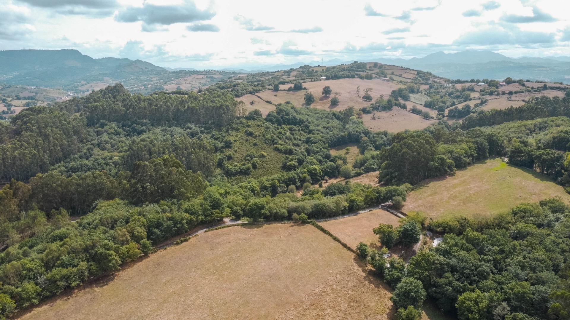 Casas o chalets-Venta-Siero-2414762-Foto-70