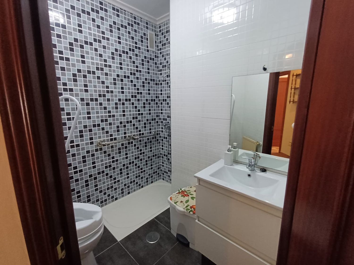 Pisos-Venta-Mieres-2210261-Foto-52