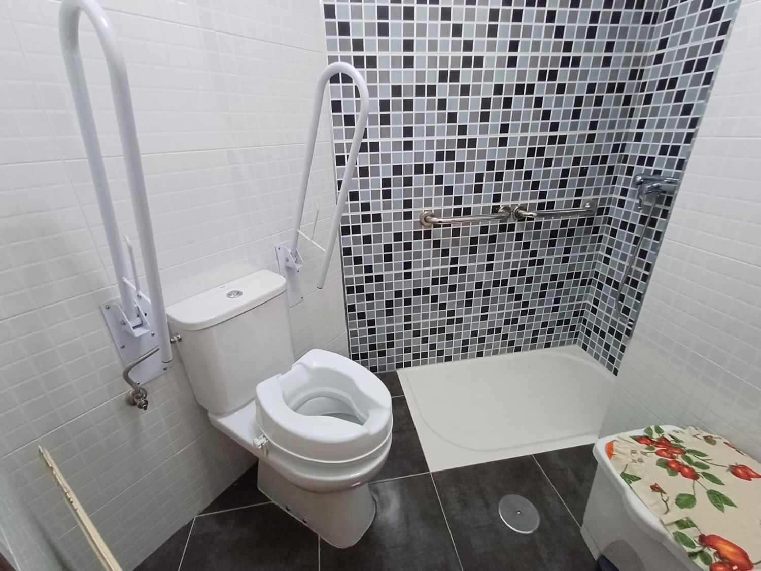 Pisos-Venta-Mieres-2210261-Foto-53