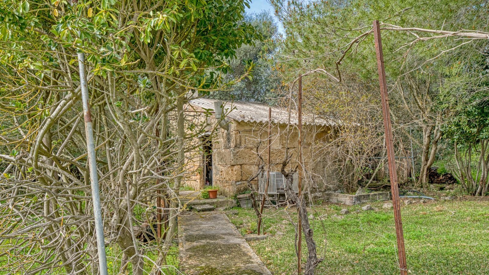 Pisos-Venta-PollenÃ§a-1684747-Foto-19
