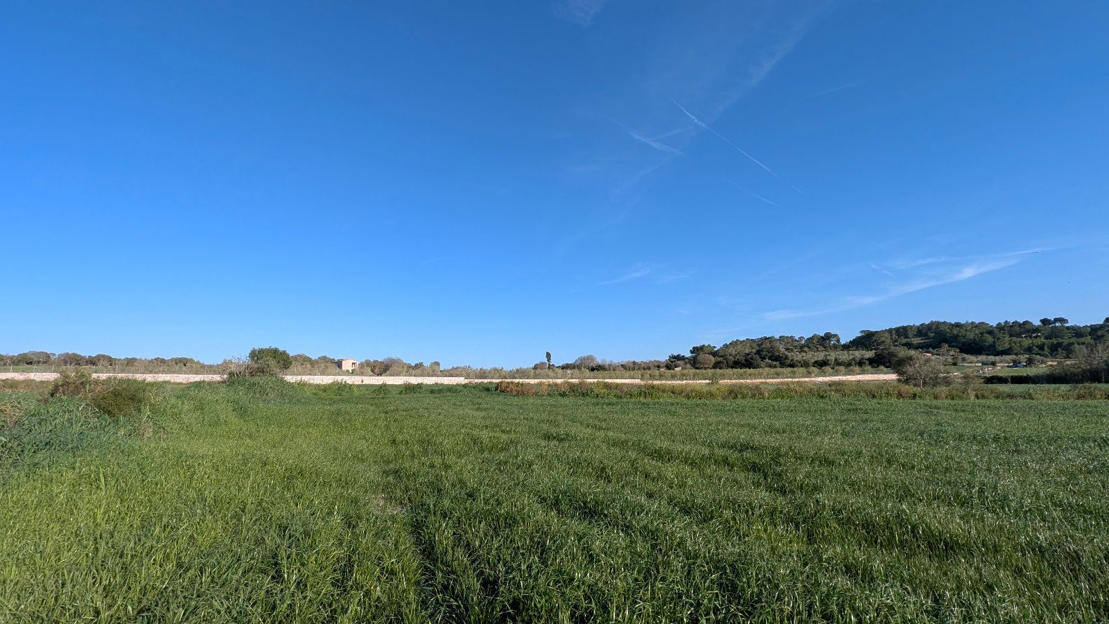 Suelo en venta, Muro