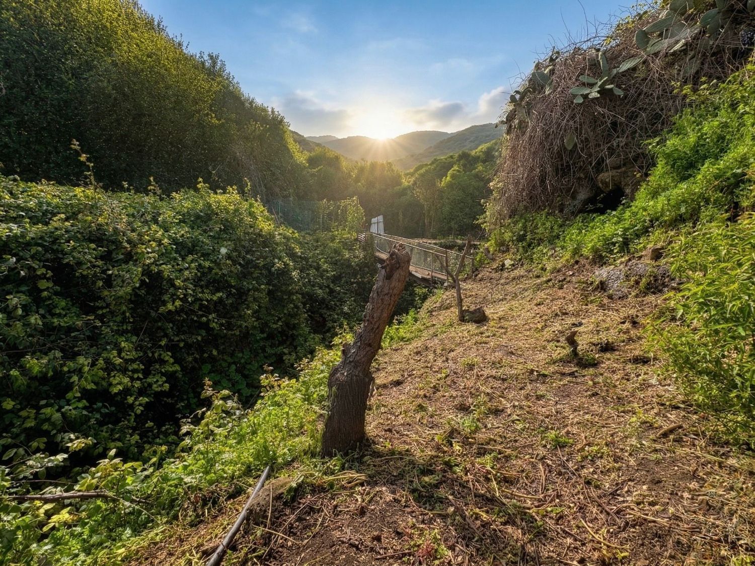 Casa rural en venta, Teror, Las Palmas