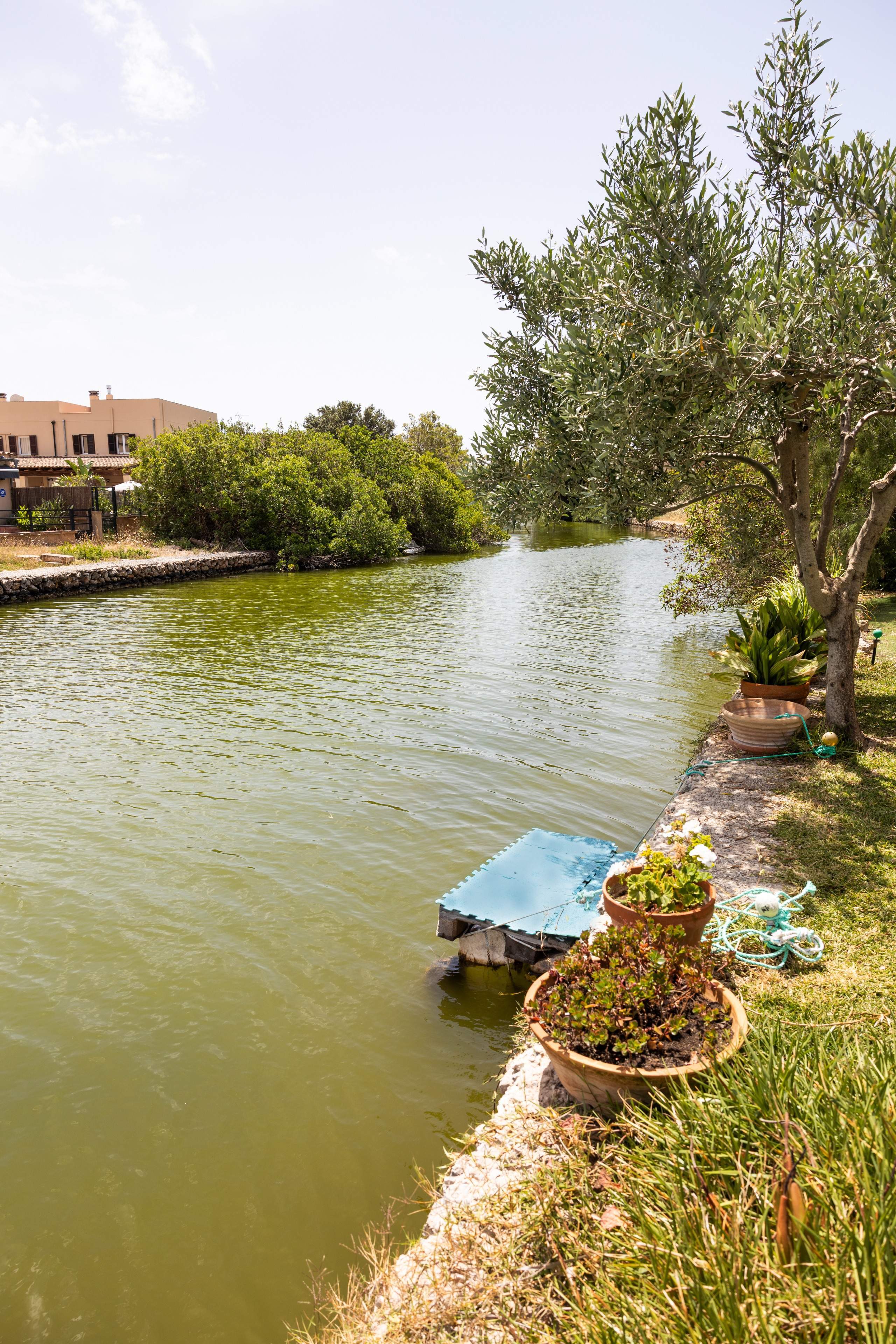 Pisos-Venta-AlcÃºdia-2411043-Foto-10