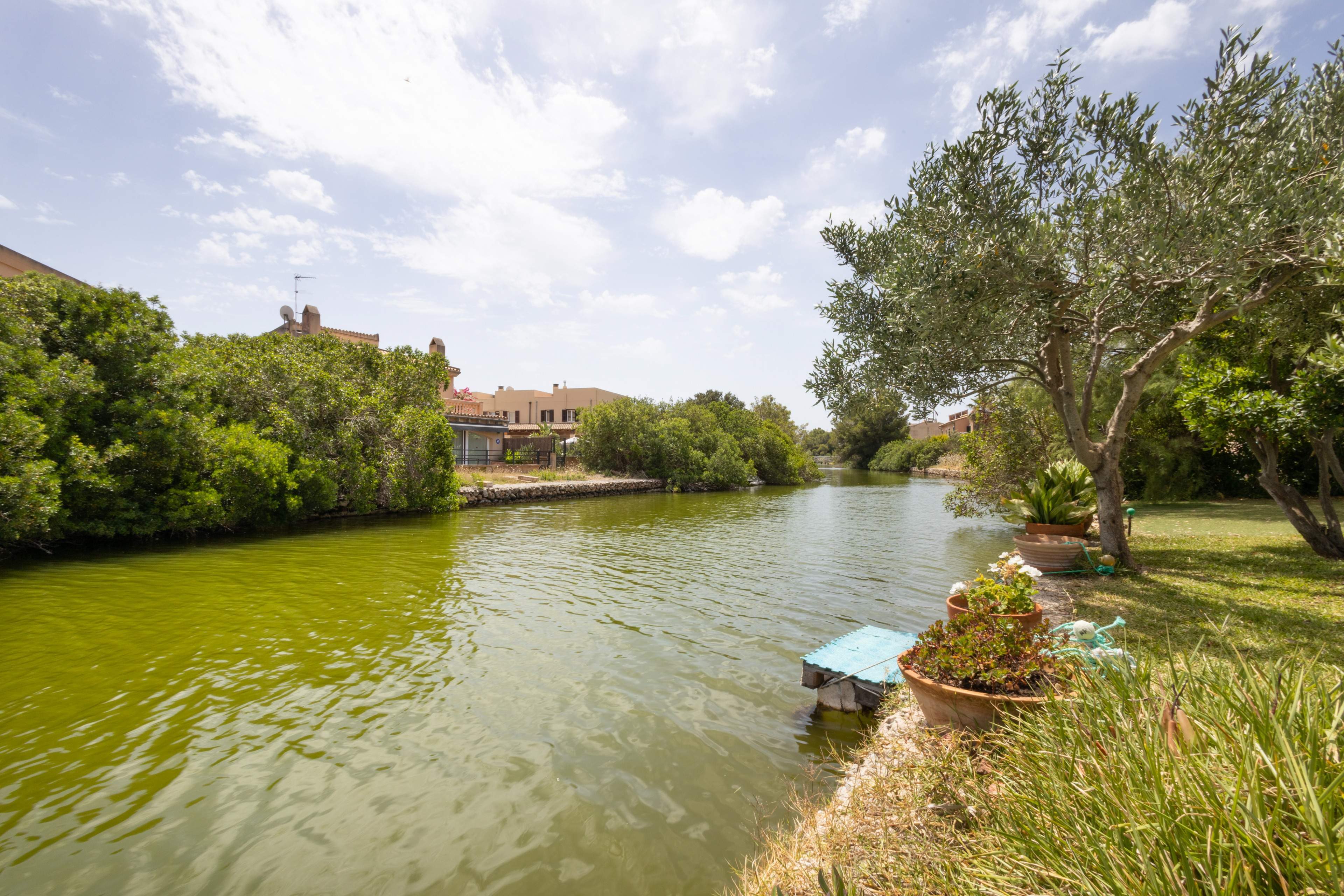 Pisos-Venta-AlcÃºdia-2411043-Foto-37