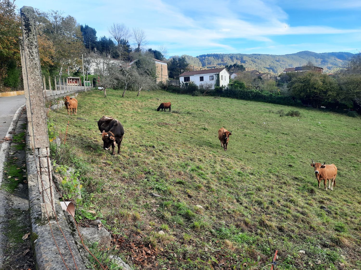 Suelo en venta, Gijón / Xixón, Asturias