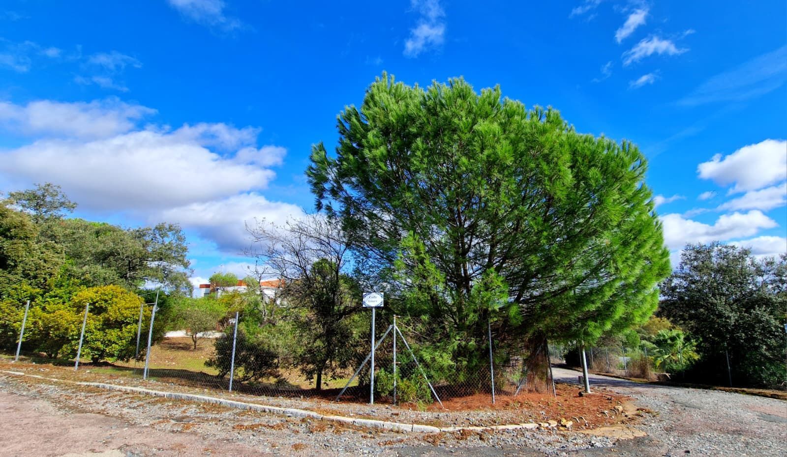 Suelo en venta, Guillena, Sevilla, Sevilla