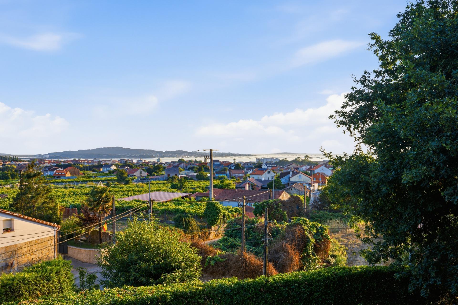 Casas o chalets-Venta-Cambados-2411358-Foto-53