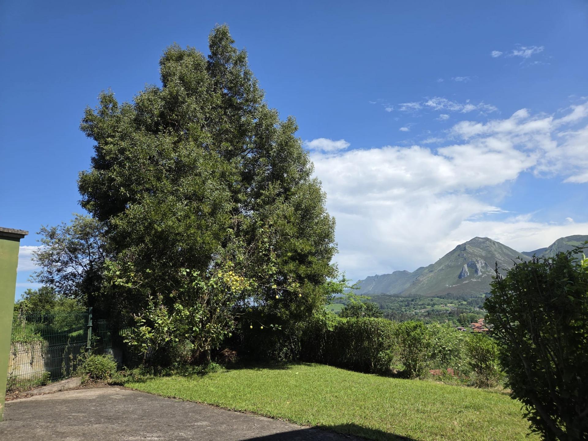 Casas o chalets-Venta-Ribadesella-2415395-Foto-60