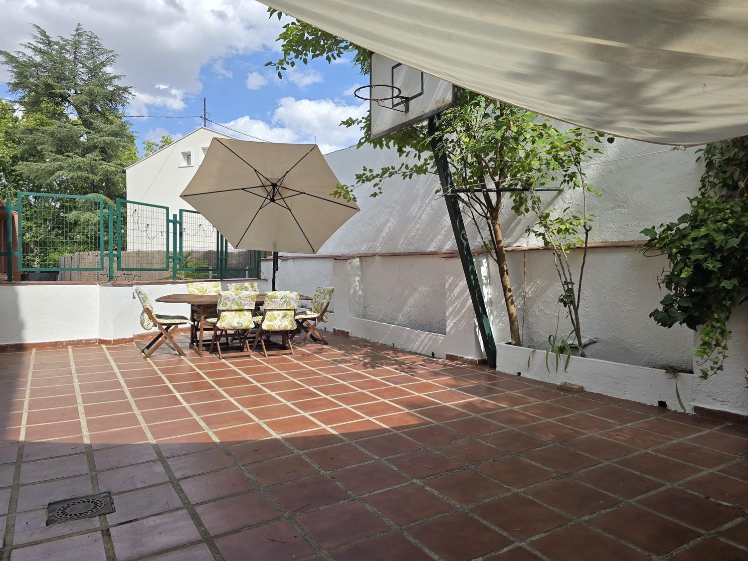 Pisos-Alquiler-Madrid-2410974-Foto-5