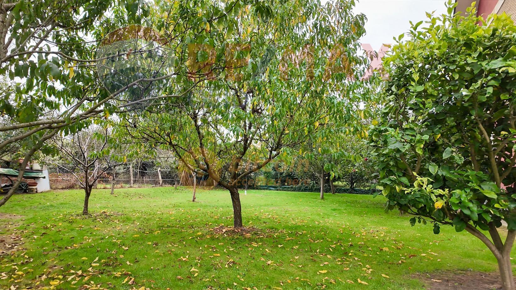 Casas o chalets-Venta-Torrelavega-2249593-Foto-69