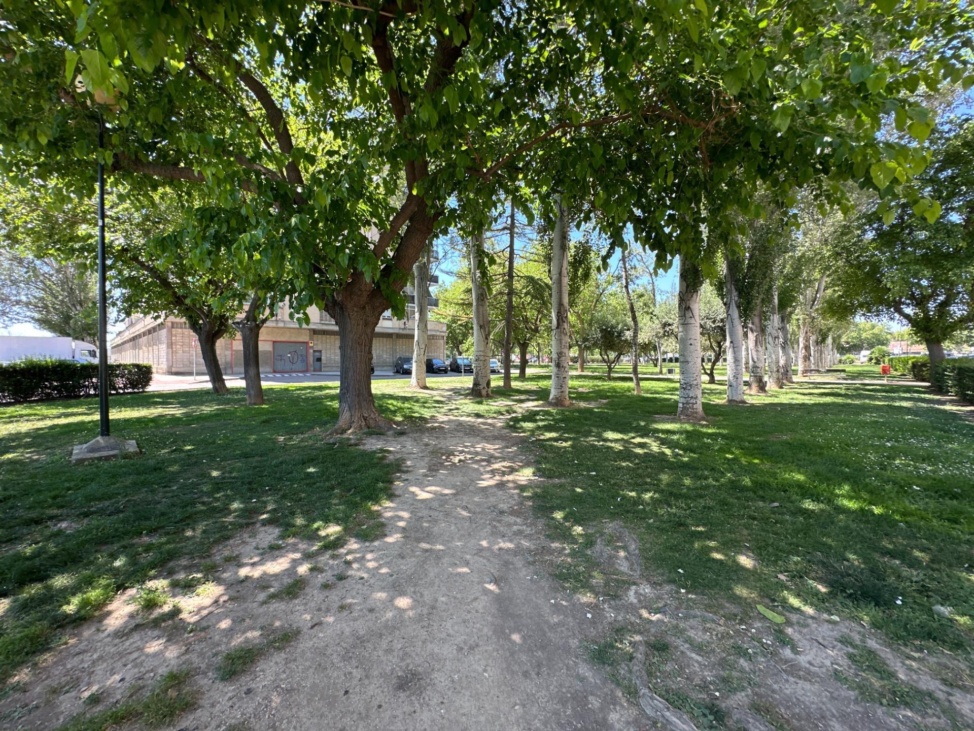 Pisos-Venta-Zaragoza-2415824-Foto-25