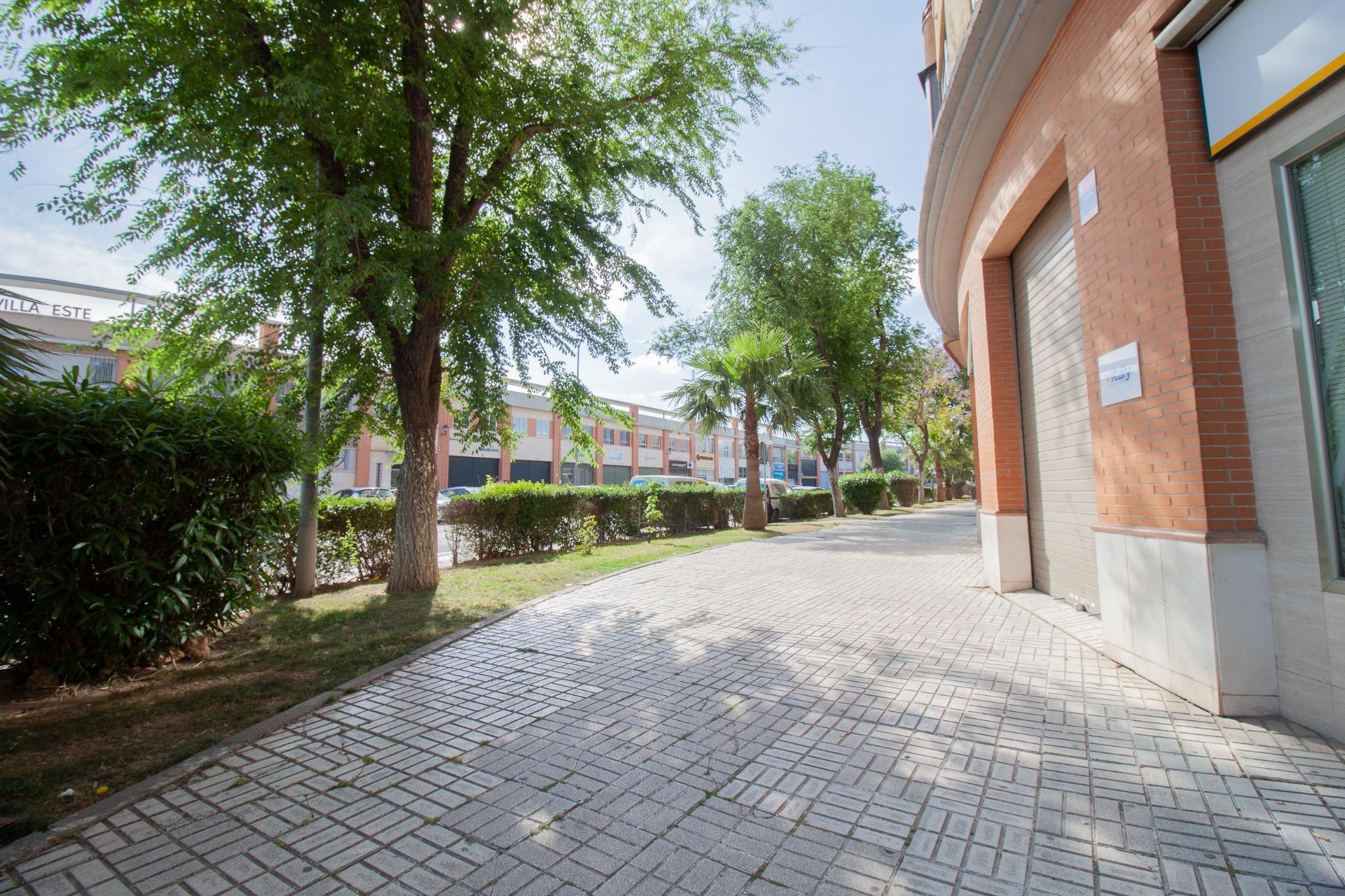 Negocios-Venta-Burguillos-2416253-Foto-5